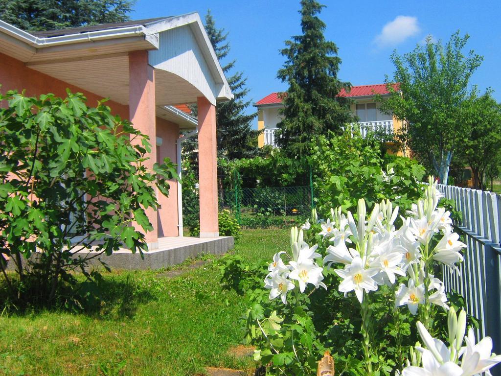 Feszek Apartmanhaz Vonyarcvashegy Exterior photo